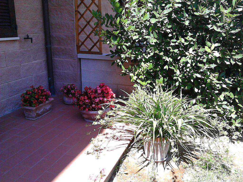 Bed And Breakfast Catherina Ponsacco Luaran gambar