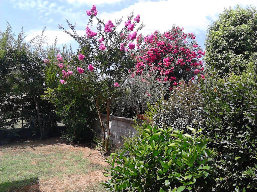 Bed And Breakfast Catherina Ponsacco Luaran gambar
